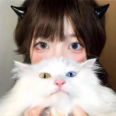 蜘蛛梦魇